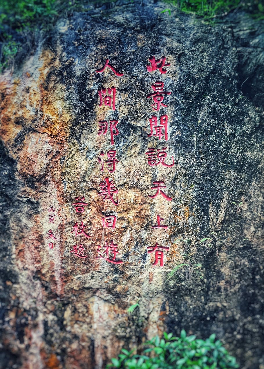 Zhijin County, Calligraphy, cliff, tree trunk, text, no people HD wallpaper