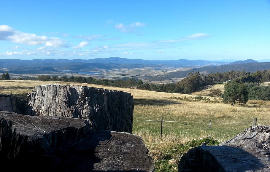 tasmania, farm, countryside, australia, paddocks, sky, valley, HD wallpaper