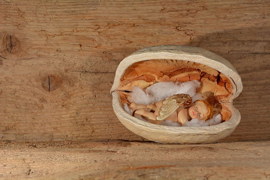 angel, nut, walnut, wood, deco, food, healthy eating, food and drink HD wallpaper