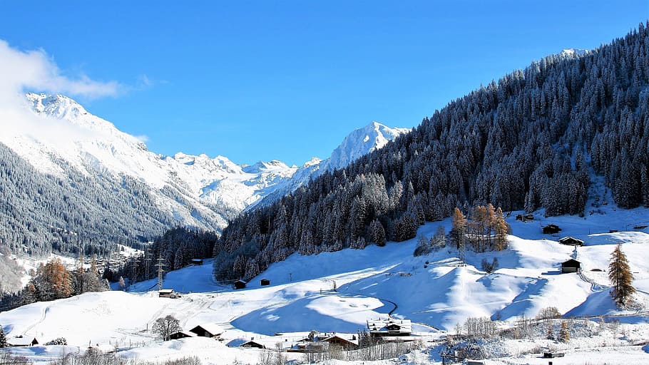 concrete house surrounded by snow filled trees mountain, panorama HD wallpaper