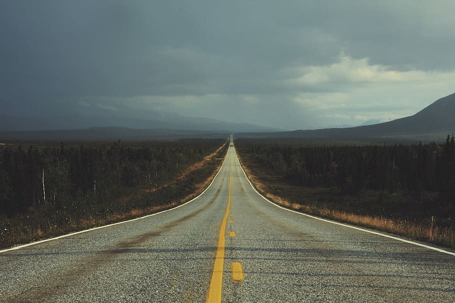 asphalt road surrounded by trees, road between trees, yellow line HD wallpaper