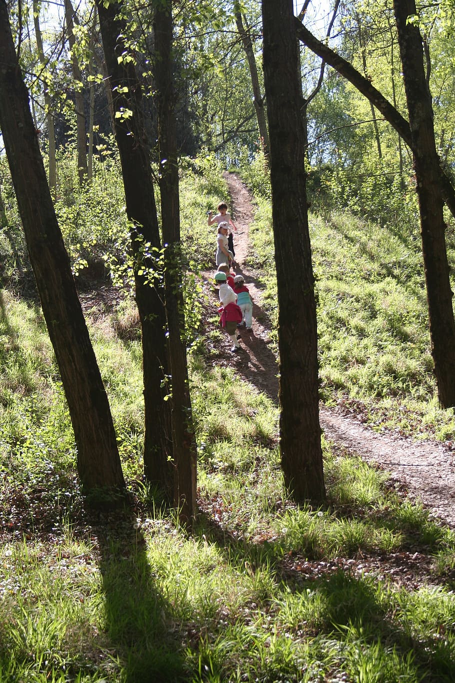trees, silhouettes, children, trail, nature, forest, outdoors HD wallpaper