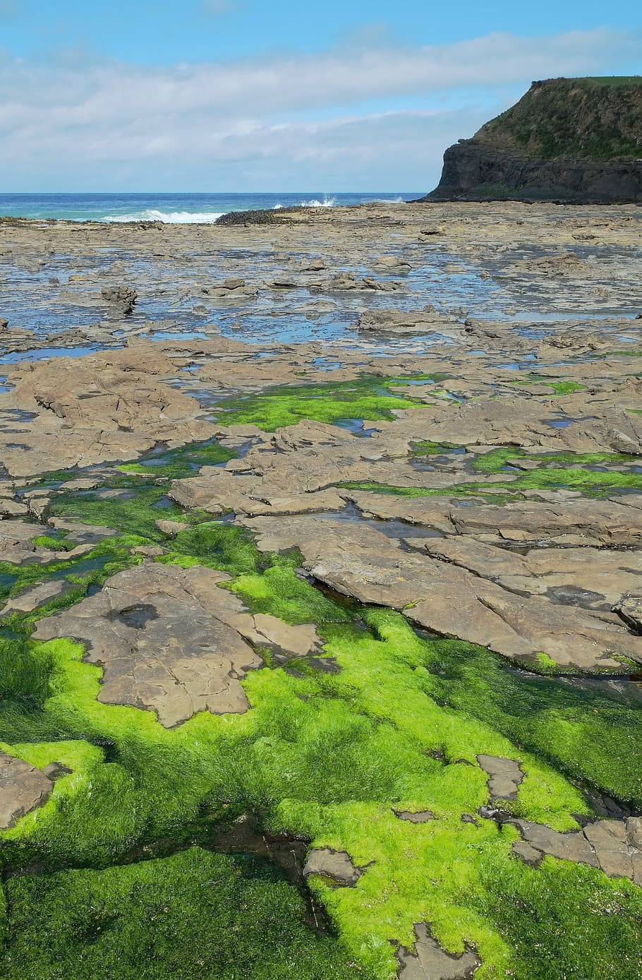 Free download | HD wallpaper: ocean, shore, rocks, vegetation, sea ...