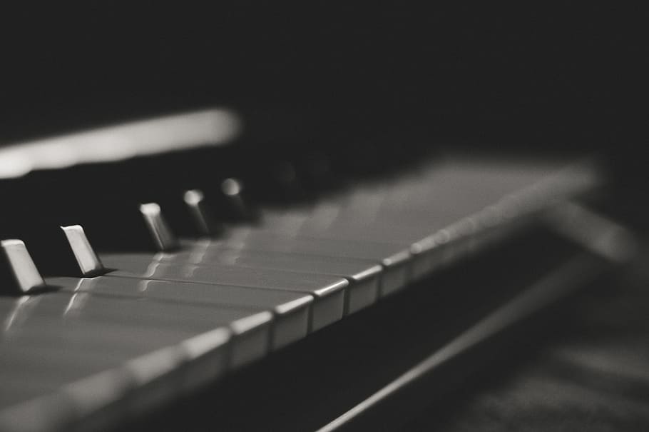 Gray and Black Piano Keys, acoustic, black and white, blur, classic