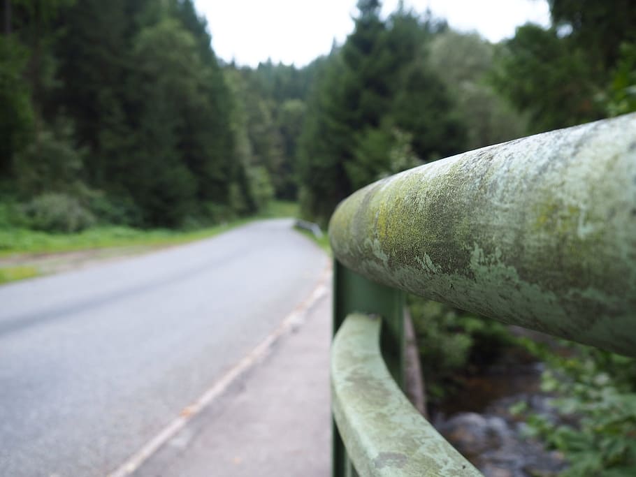 road, guardrail, movement, moss, mostviertel, lower austria HD wallpaper