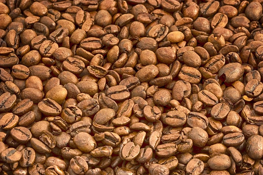 coffee beans, beverage, drink, caffeine, aroma, roasted, food and drink HD wallpaper