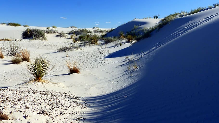 Desert eden