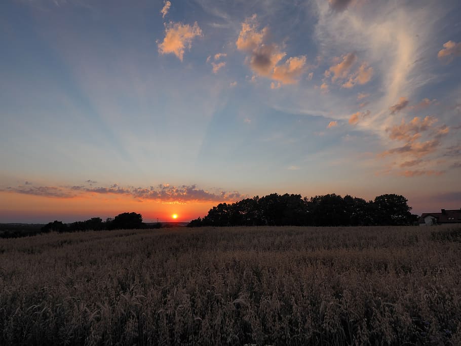 sunset, evening, clouds, village, landscape, sky, the sun, twilight HD wallpaper