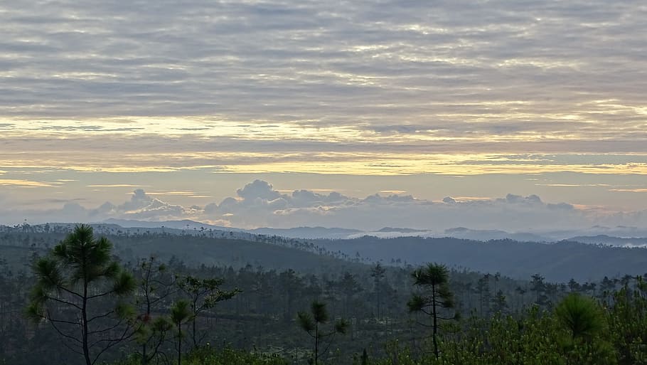 Mountain, Pine, Ridge, Clouds, Valley, mist, morning, belize HD wallpaper