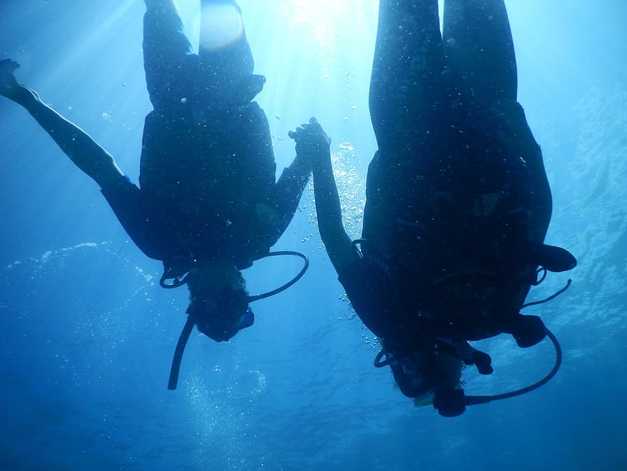 diving, divers, pair, love, water, underwater, aquatic sport HD wallpaper