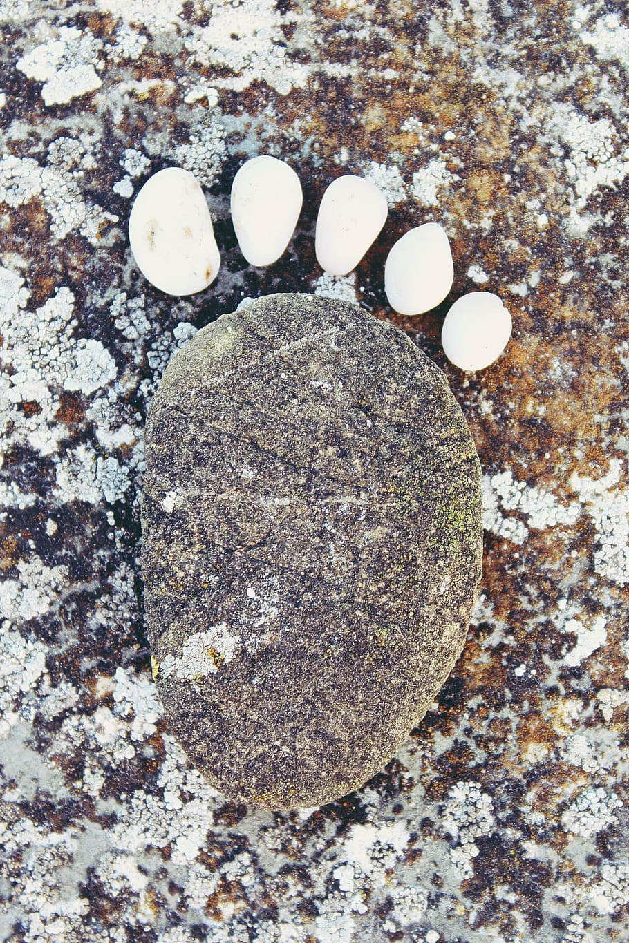 stone, stonefoot, reprint, footprint, cold, ten, nature, trace, HD wallpaper