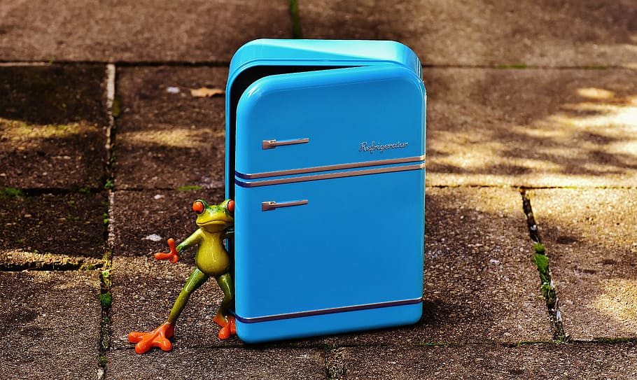 frog, refrigerator, blue, figure, funny, frogs, cute, nature HD wallpaper