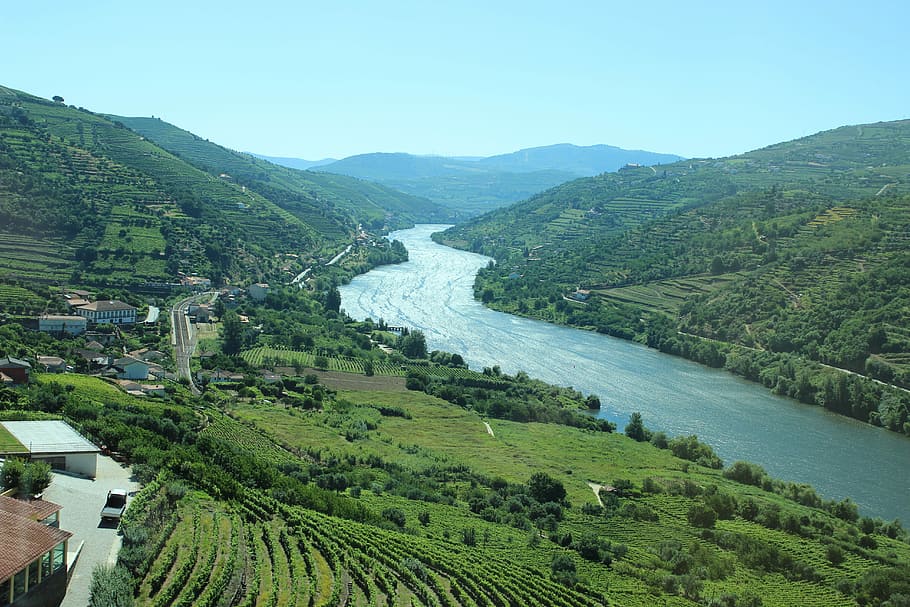 Douro, Overlook, Vineyard, areas, nature, landscape, agriculture, HD wallpaper