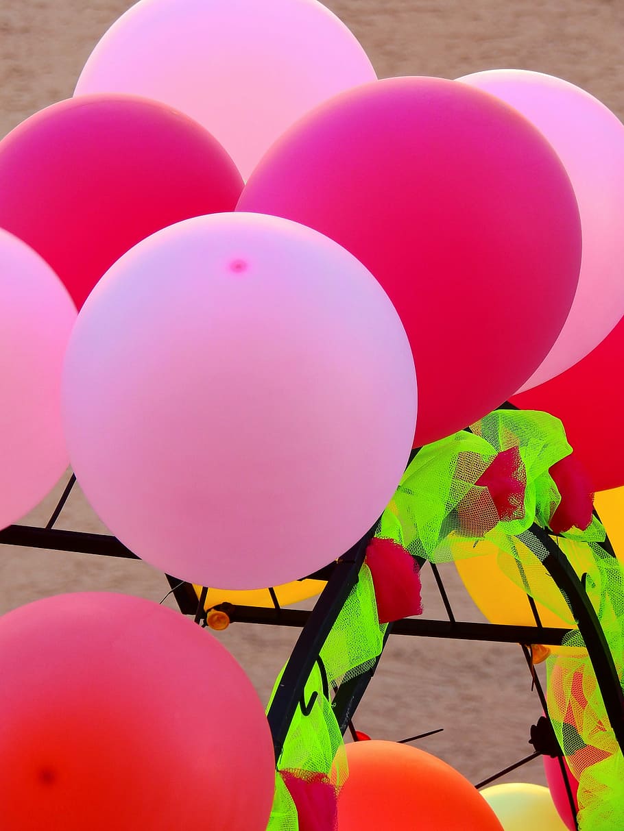 Balloon, Pink, Party, Celebration, birthday, multi colored, HD wallpaper