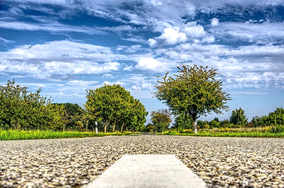 road, asphalt, landscape, trees, forest, roadway, tar, clouds HD wallpaper