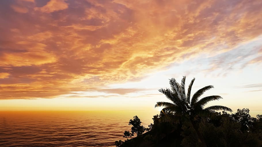sunrise, nature, dusk, beach, byron bay, australia, orange, HD wallpaper