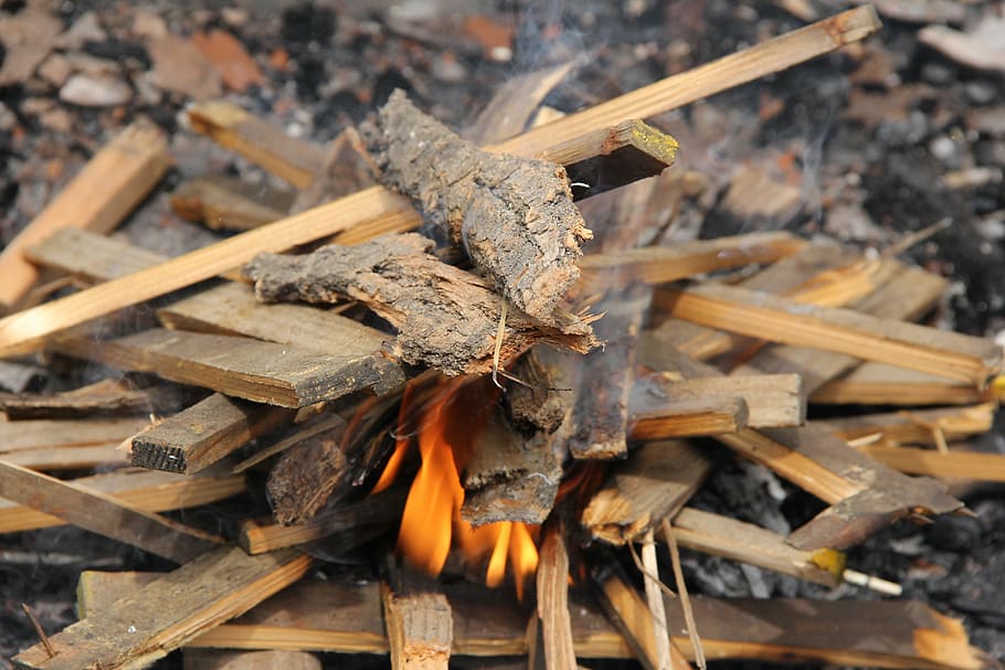 fire, cooking, flame, wood fire, burning, fire - natural phenomenon HD wallpaper
