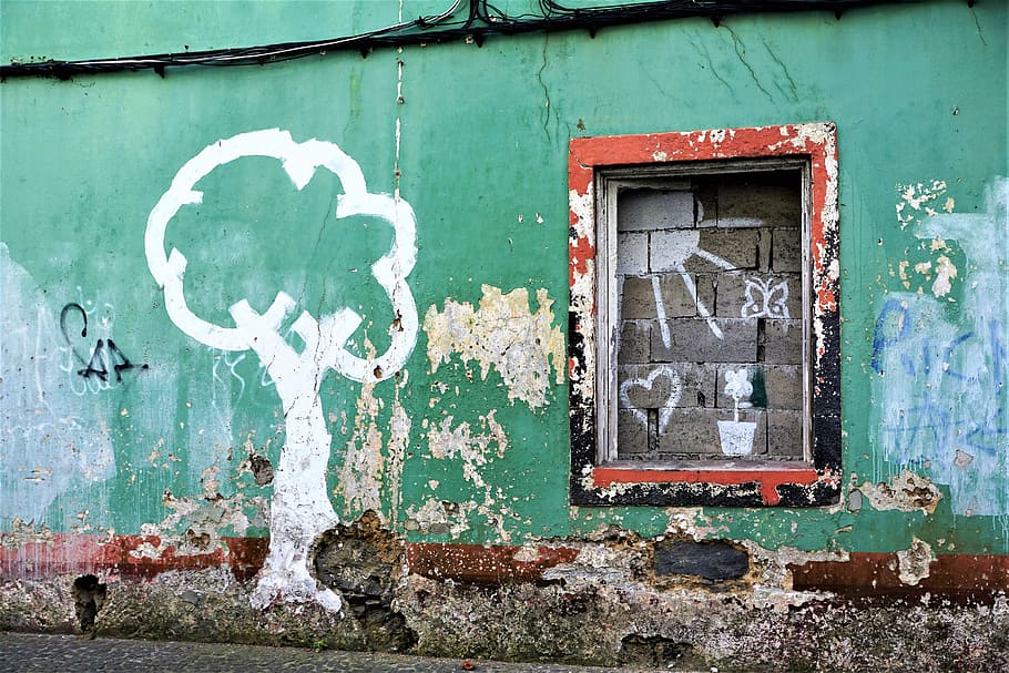 wall, graffiti, leave, old, road, window, vintage, building HD wallpaper