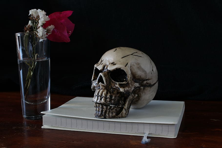 human skull figurine on top of book, still life, representation