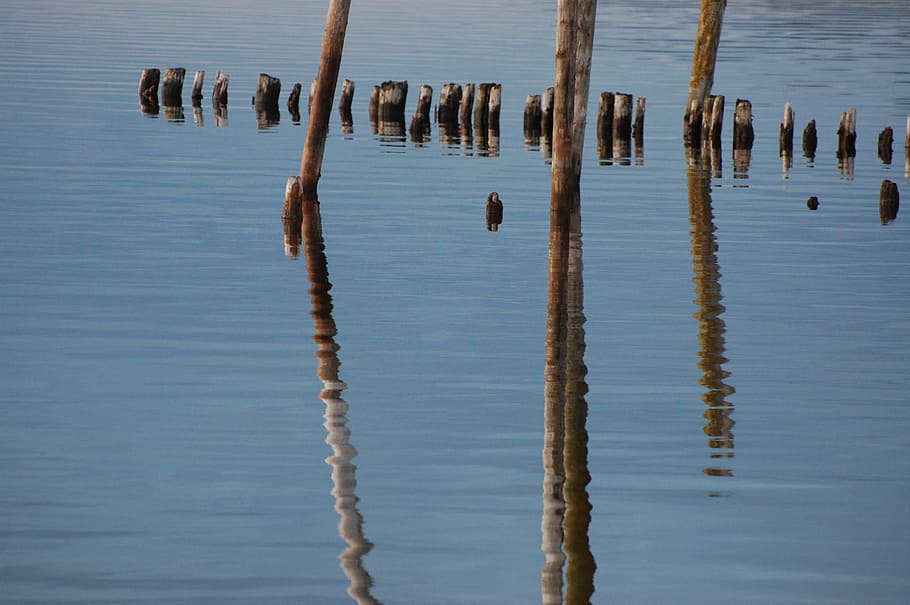 pir, sunken, mirror image, water, reflection, wooden post, waterfront HD wallpaper