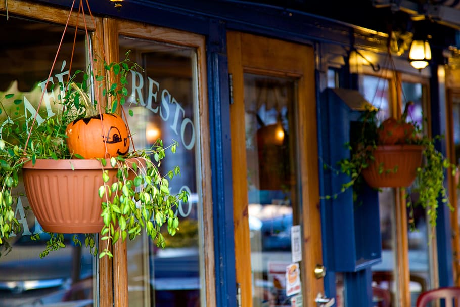 Pumpkin, Halloween, Fall, cultures, decoration, wood - Material HD wallpaper