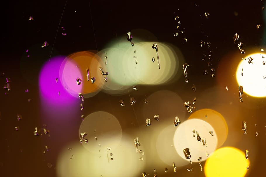 bokeh photography, rain, drip, reflexes, refraction, magenta HD wallpaper