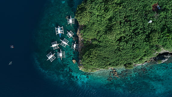 aerial photography of several white boats near island, aerial photo of boats on sea HD wallpaper