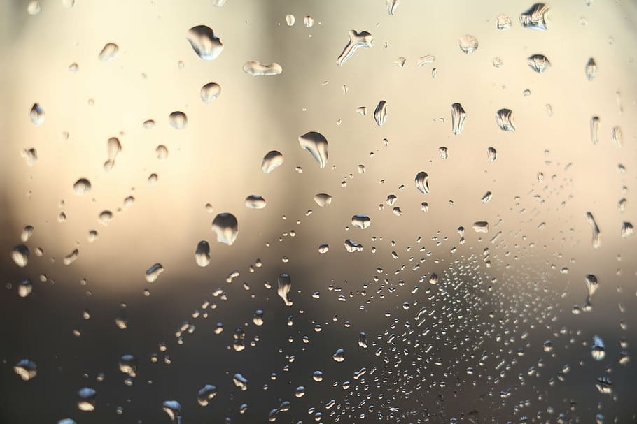 water, glass, window, drops, drops of water, drop, backgrounds HD wallpaper