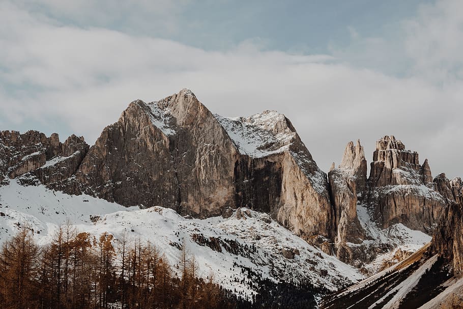 rocky mountains near pine trees, gray rock formation near brown trees at daytime HD wallpaper