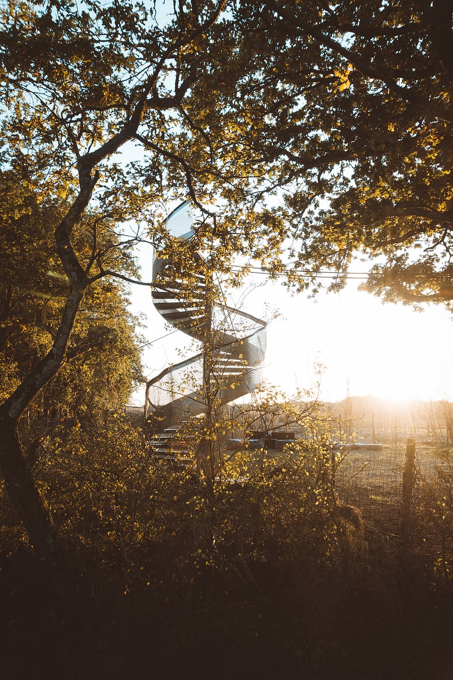 gray twirl stair near tree, photo of green trees near spiral stair HD wallpaper