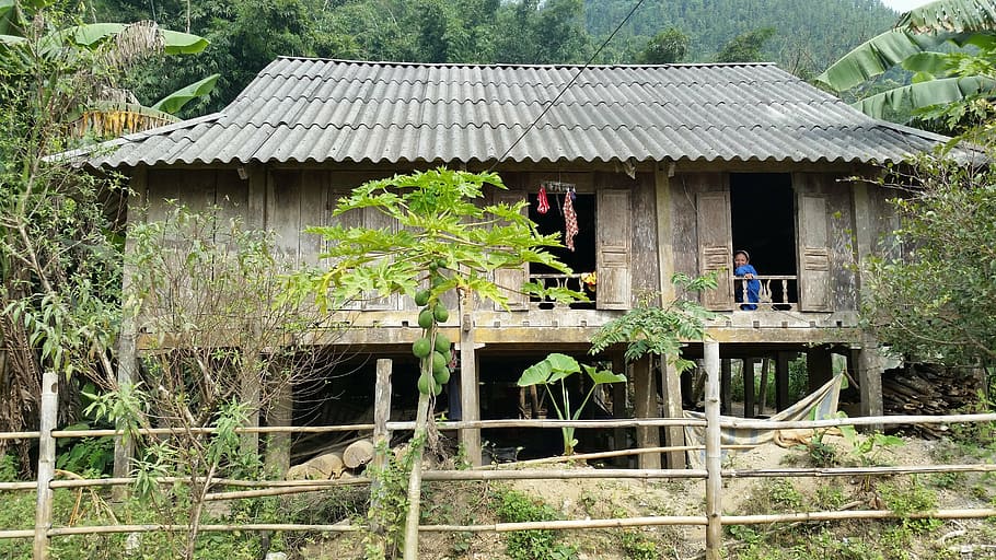 three khan, peace, vietnam, built structure, architecture, plant HD wallpaper