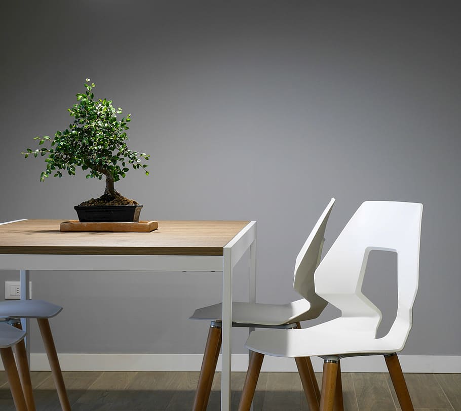 wooden table with plant decor and chairs, interior, design HD wallpaper