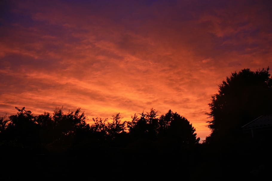 thunderstorm, dark clouds, tree, silhouette, sunset, sky, cloud - sky HD wallpaper