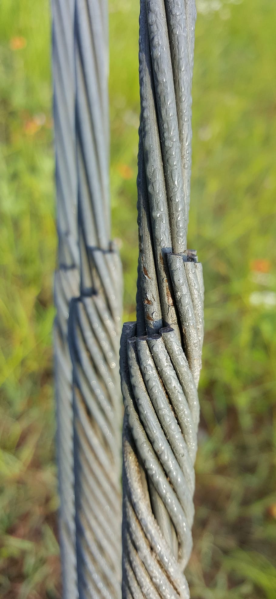 wires, cables, lines, cut, wet, fasten, tether, close-up, day HD wallpaper