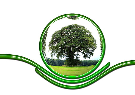 green tree, protect, ecology, protection, responsibility, globe HD wallpaper