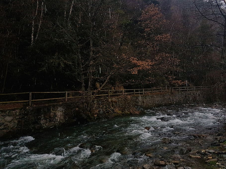 body of water during daytime, time-lapse photography of river near trees HD wallpaper