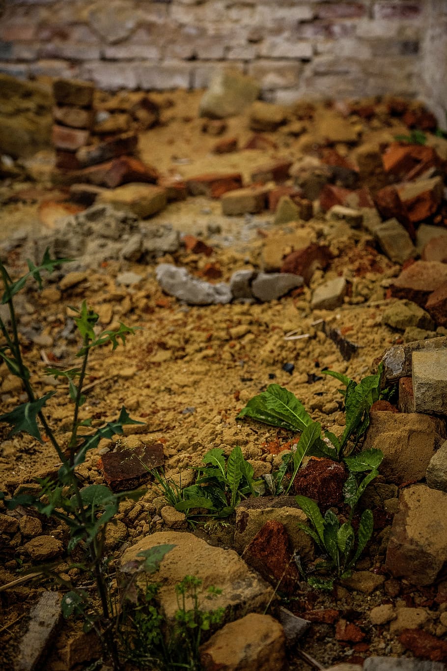 break up, ruin, building, decay, broken, leave, ruins, architecture HD wallpaper