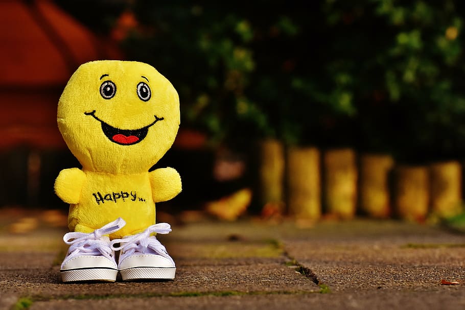 yellow character plush toy and pair of white low-top shoes, smiley