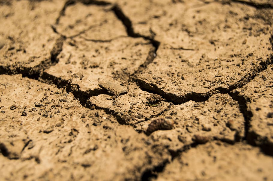 aridity, brown, drought, dry, earth, soil, full frame, backgrounds, HD wallpaper