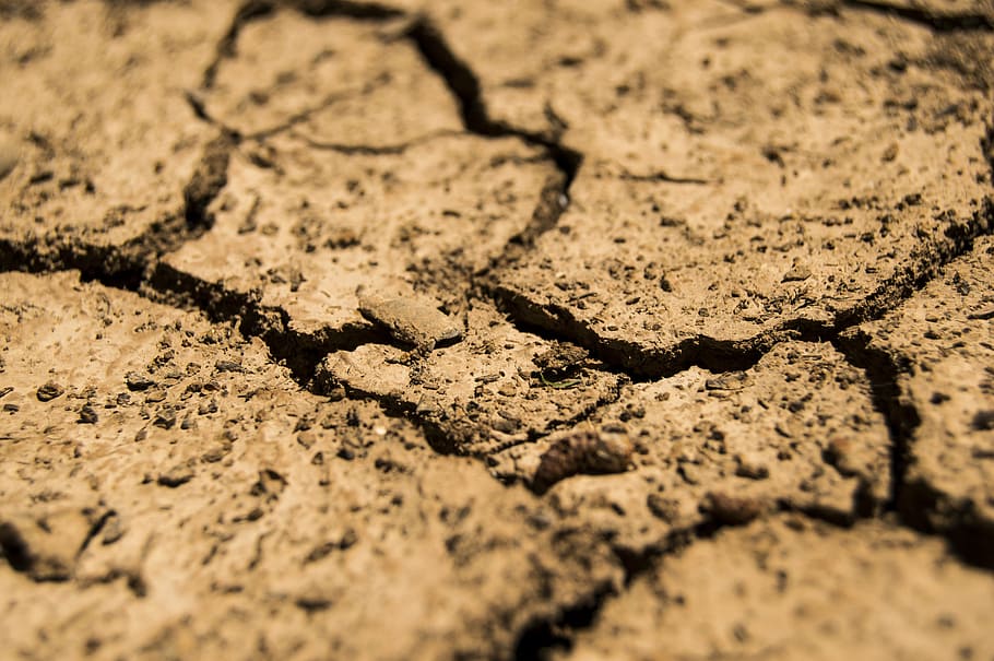 aridity, brown, drought, dry, earth, soil, full frame, backgrounds HD wallpaper