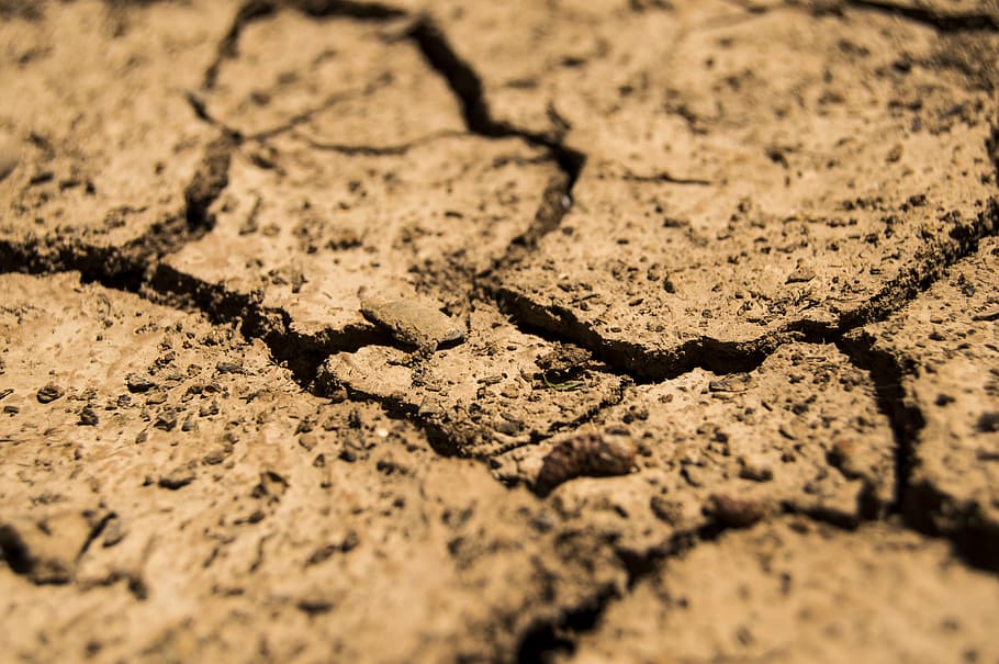 cracked dry soil closeup photography, drought, aridity, earth