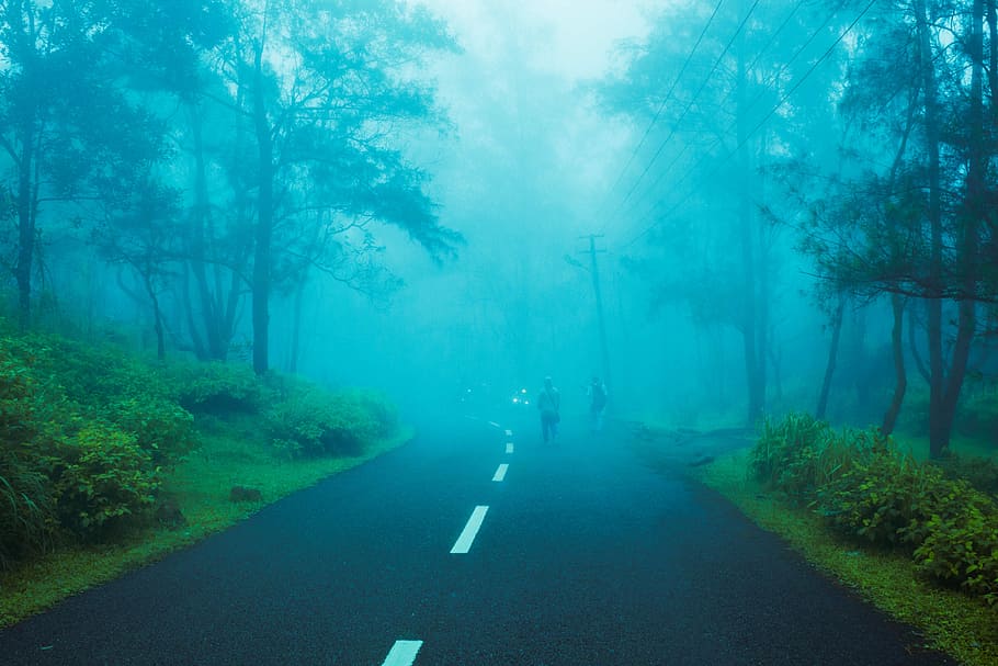 person jogging on road between green trees with fogs, Hill Station