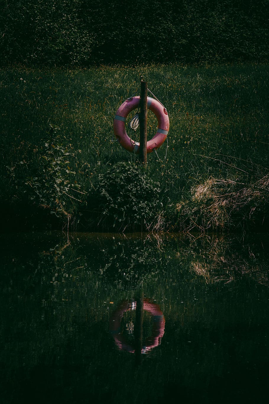 Red Wooden Float on Swamp, grass, lifesaver, outdoors, pole, reflections HD wallpaper