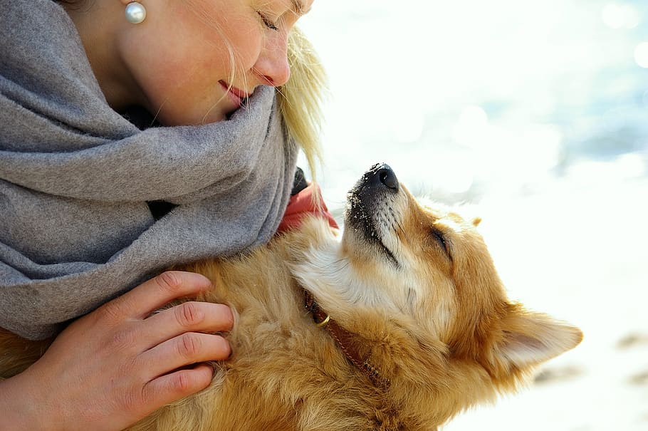 trust, friends, confidence, dog, girl, relaxed, one animal HD wallpaper