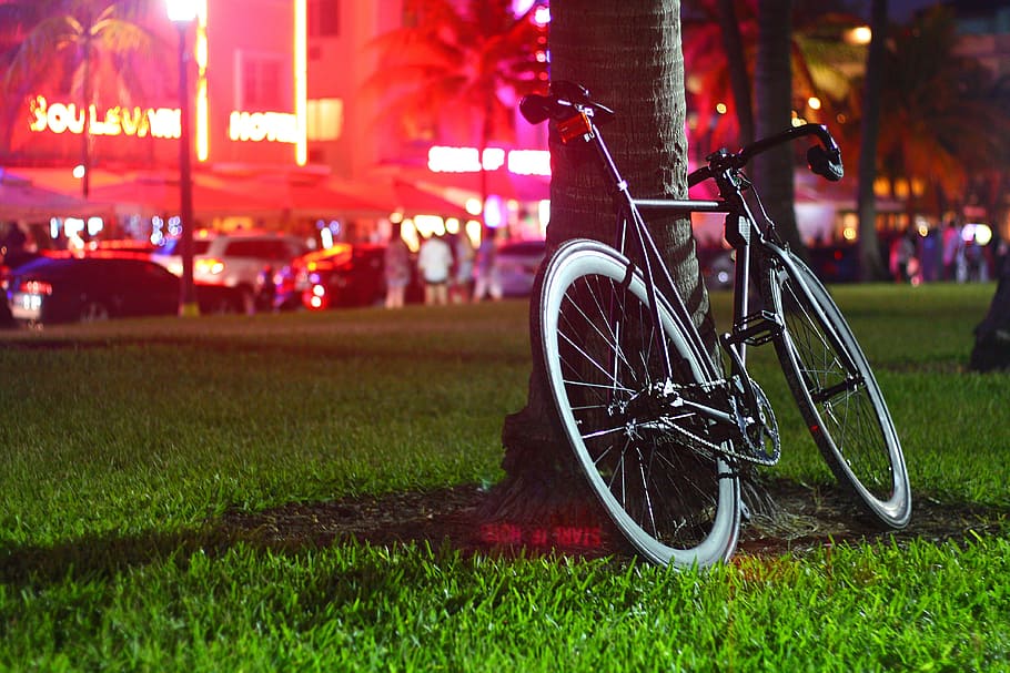 black road bicycle leaning on tree, night, park, street, bike