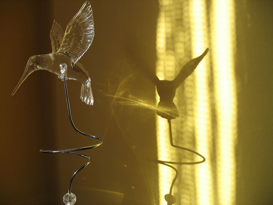 hummingbird, artificial, shadow, animal, animal themes, indoors HD wallpaper