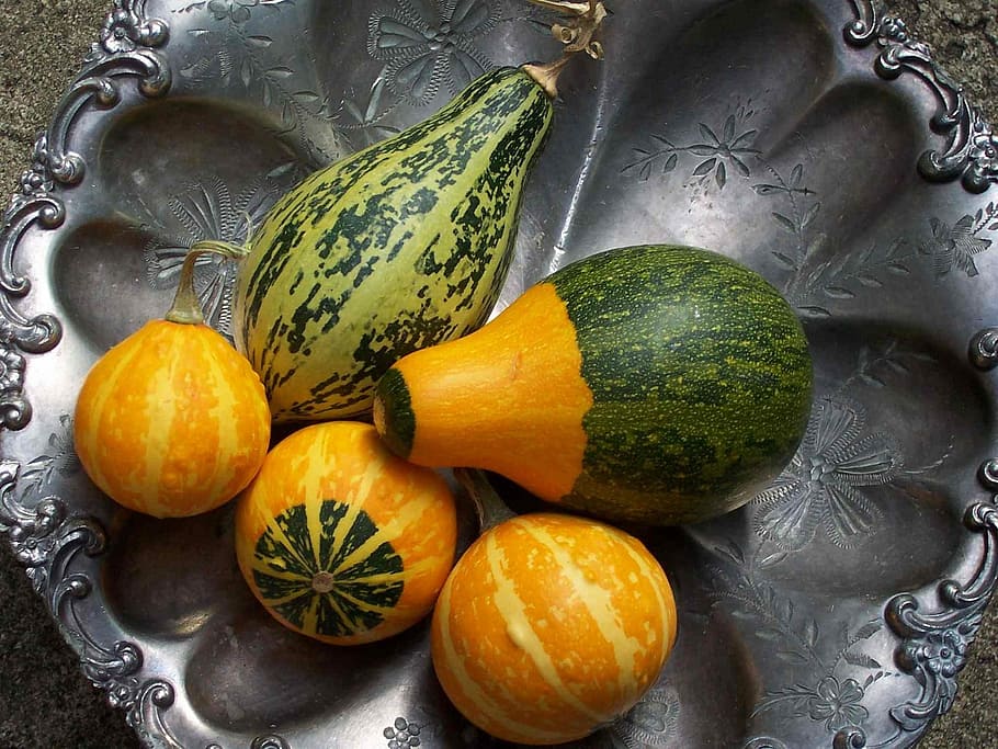 Gourds, Platter, Fresh, Orange, green, white, colorful, agriculture HD wallpaper