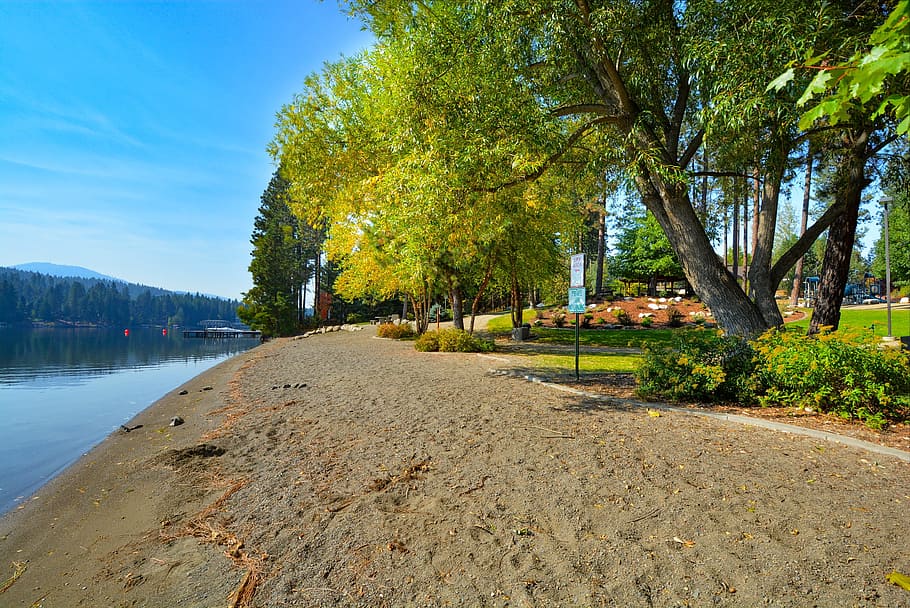 River, Beach, Trees, Shore, park, green, sky, water, blue, day HD wallpaper