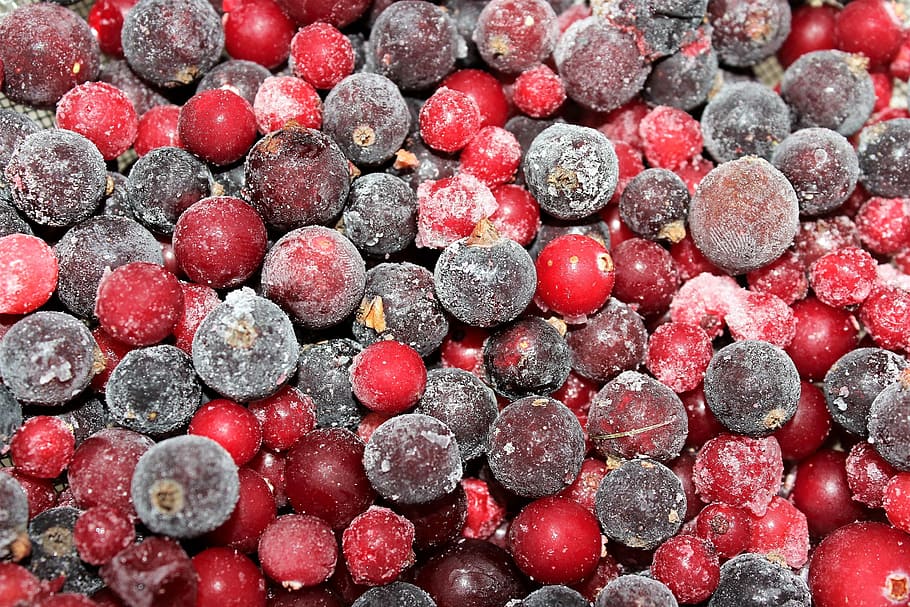 berry, cranberries, currant, red, vitamins, backgrounds, science HD wallpaper