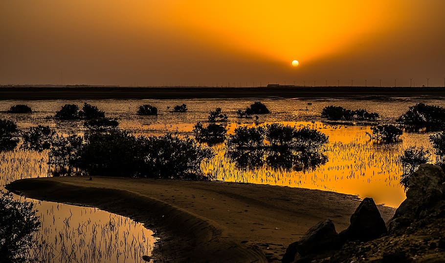 sunset, horizon, orb, water, reflection, landscape, panorama HD wallpaper